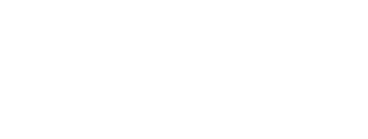 LSP Cargo